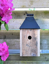 A2 Living Black Mini &