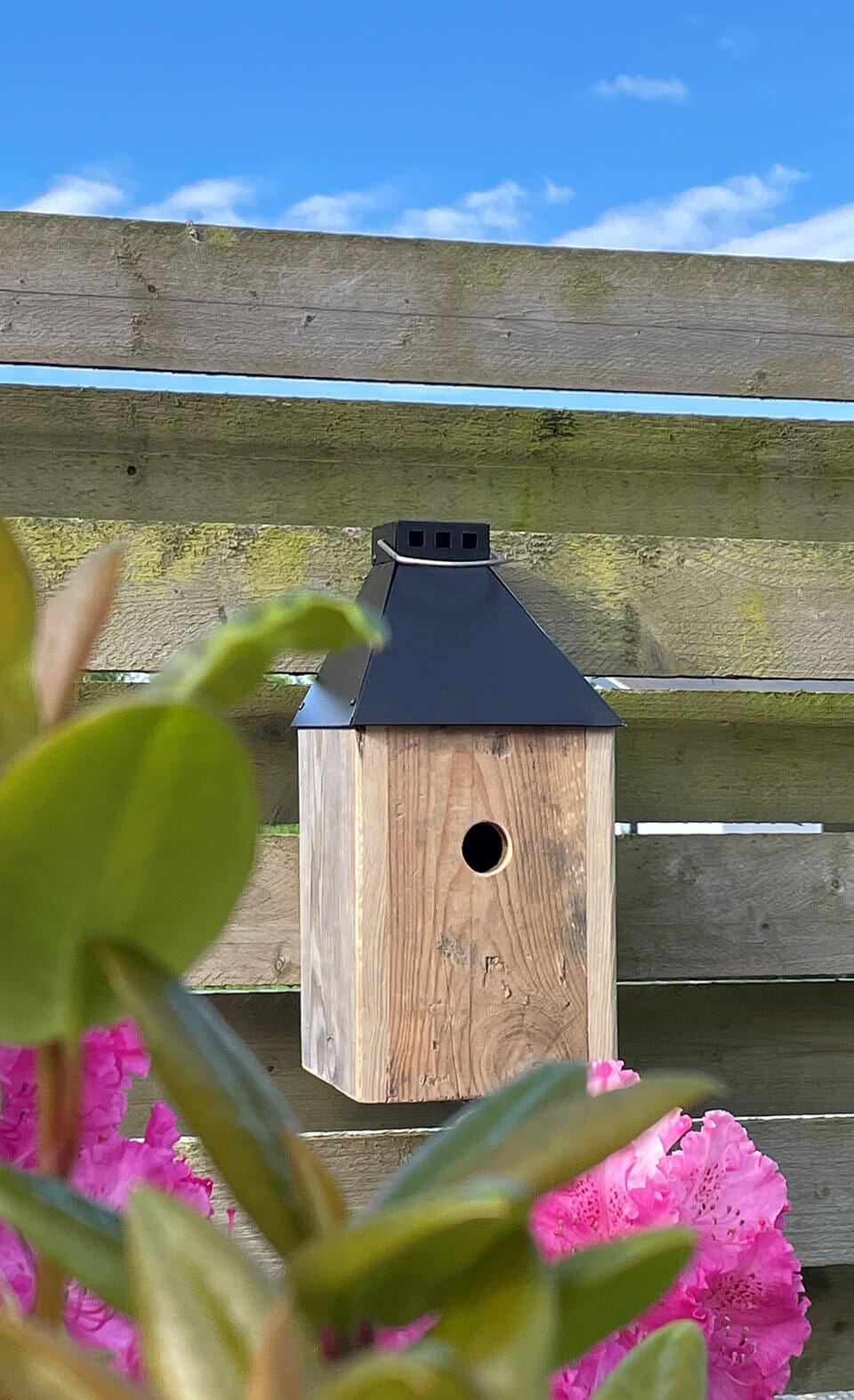 A2 Living Black Mini &