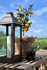 A2 Living Lanterne Copper Maxi Lantern 5714045000899 otherstuff