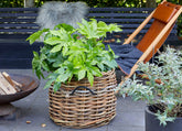 A2 Living Mega Low Round Rattan Basket 5714045004903 otherstuff