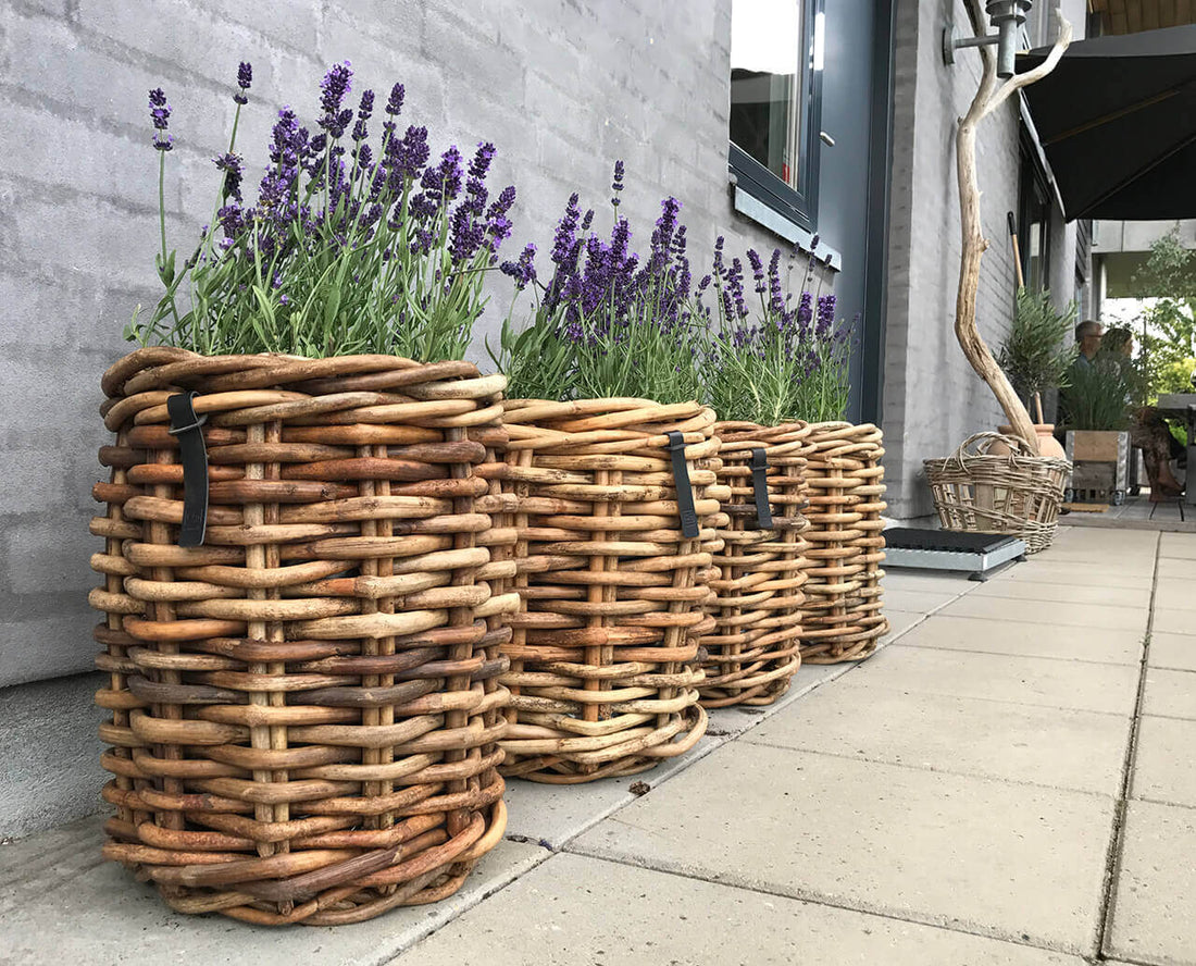 A2 Living Mini Round Rattan Basket 5714045000011 otherstuff