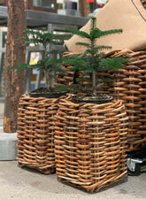 A2 Living Mini Square Rattan Basket 5714045004347 otherstuff