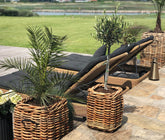A2 Living Mini Square Rattan Basket 5714045004347 otherstuff