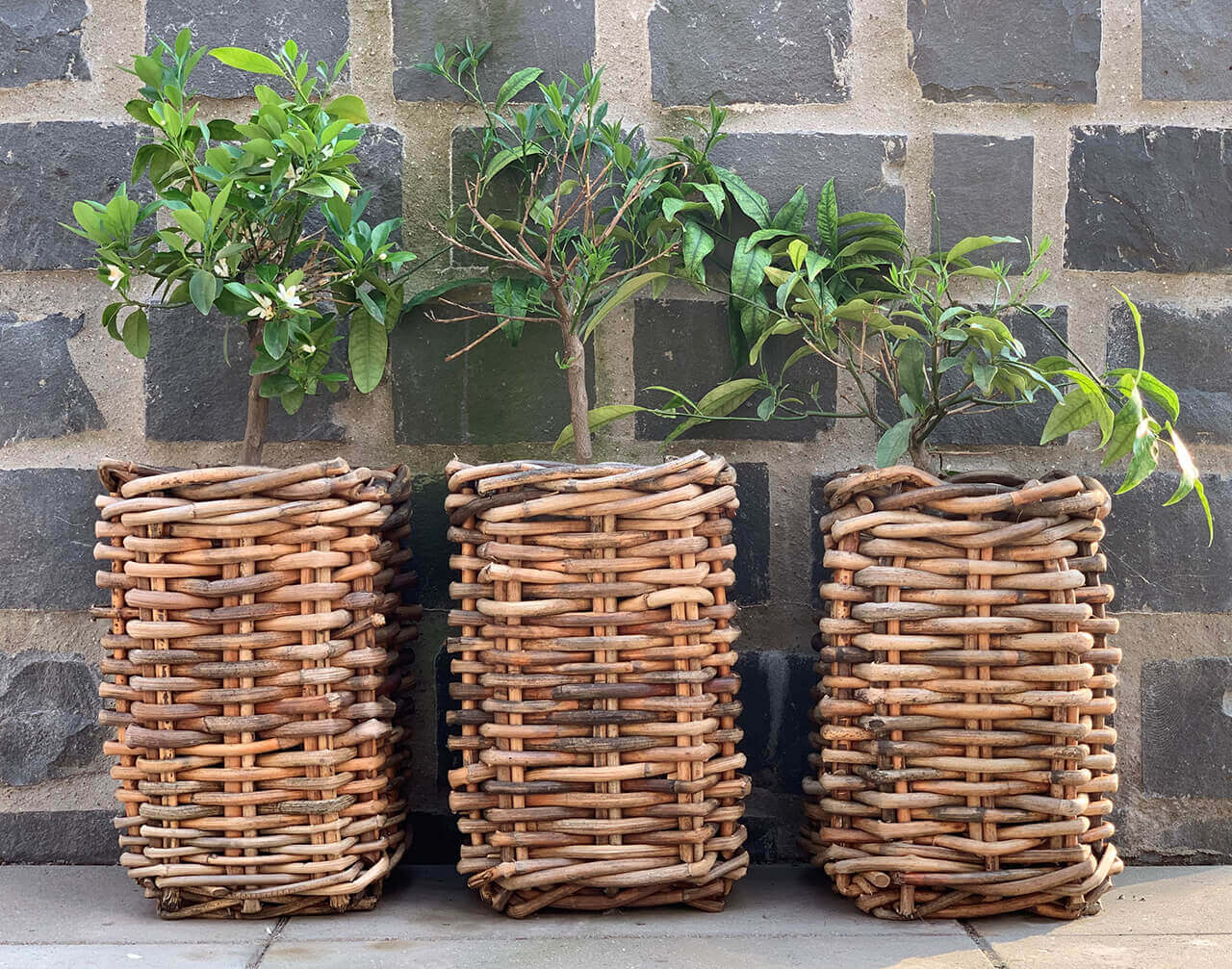 A2 Living Mini Square Rattan Basket 5714045004347 otherstuff