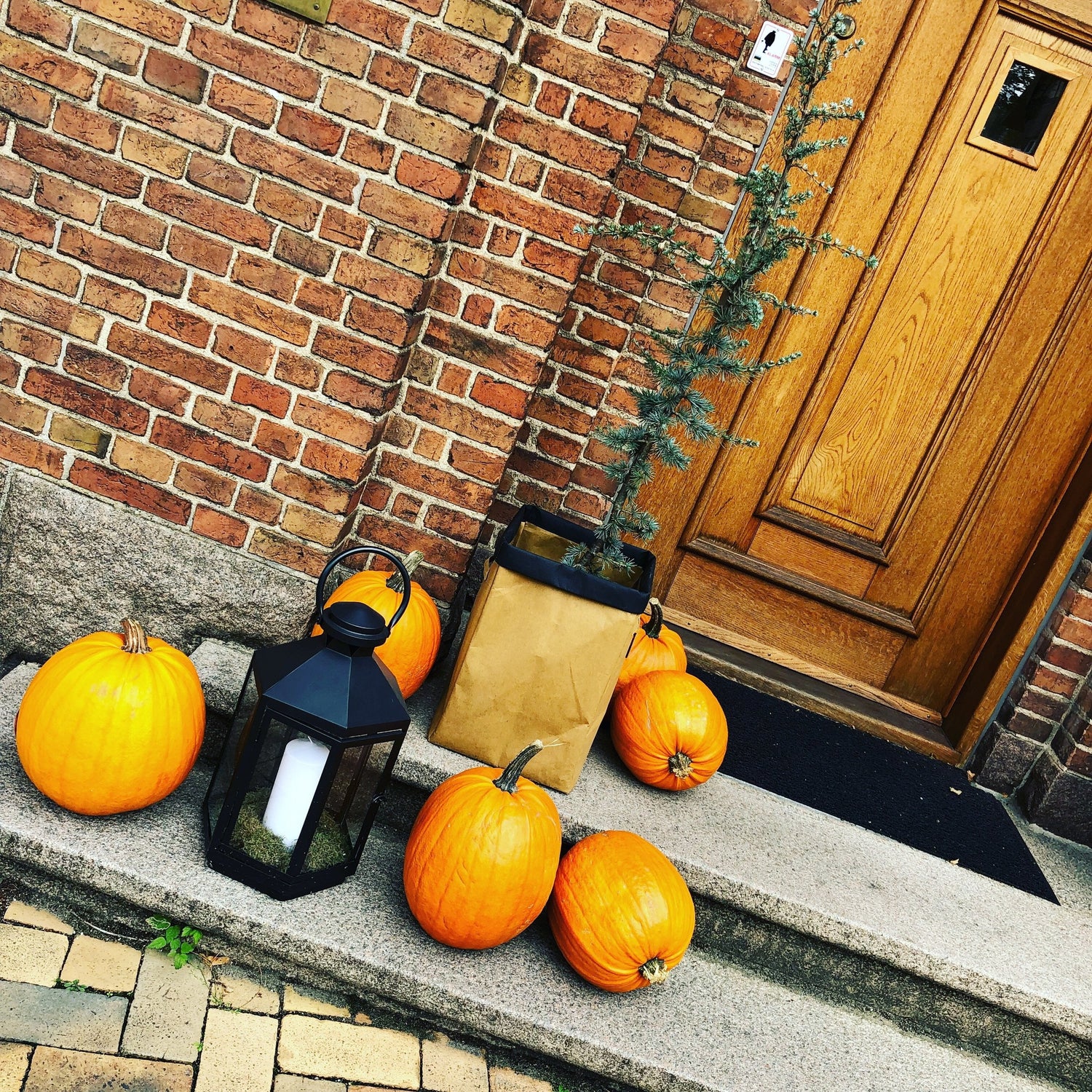 Opbevarings spand med sort kant og hank på 2 sider i vaskbart kraftpapir - OtherStuff.dk
