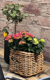 A2 Living flet kurv Maxi Low Square Rattan Basket 5714045004620 otherstuff