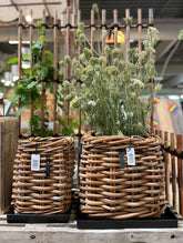 A2 Living flet kurv Maxi Low Square Rattan Basket 5714045004620 otherstuff